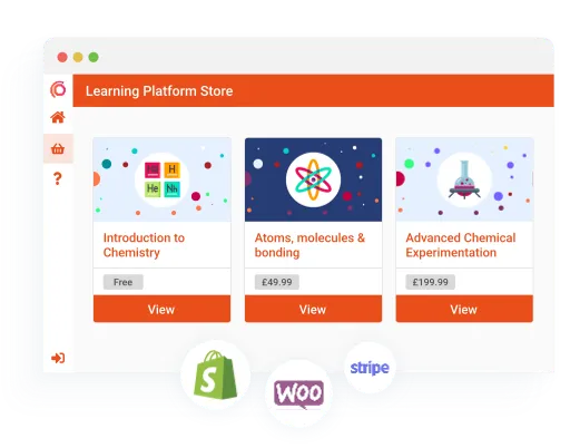 Synap online exam platform UI