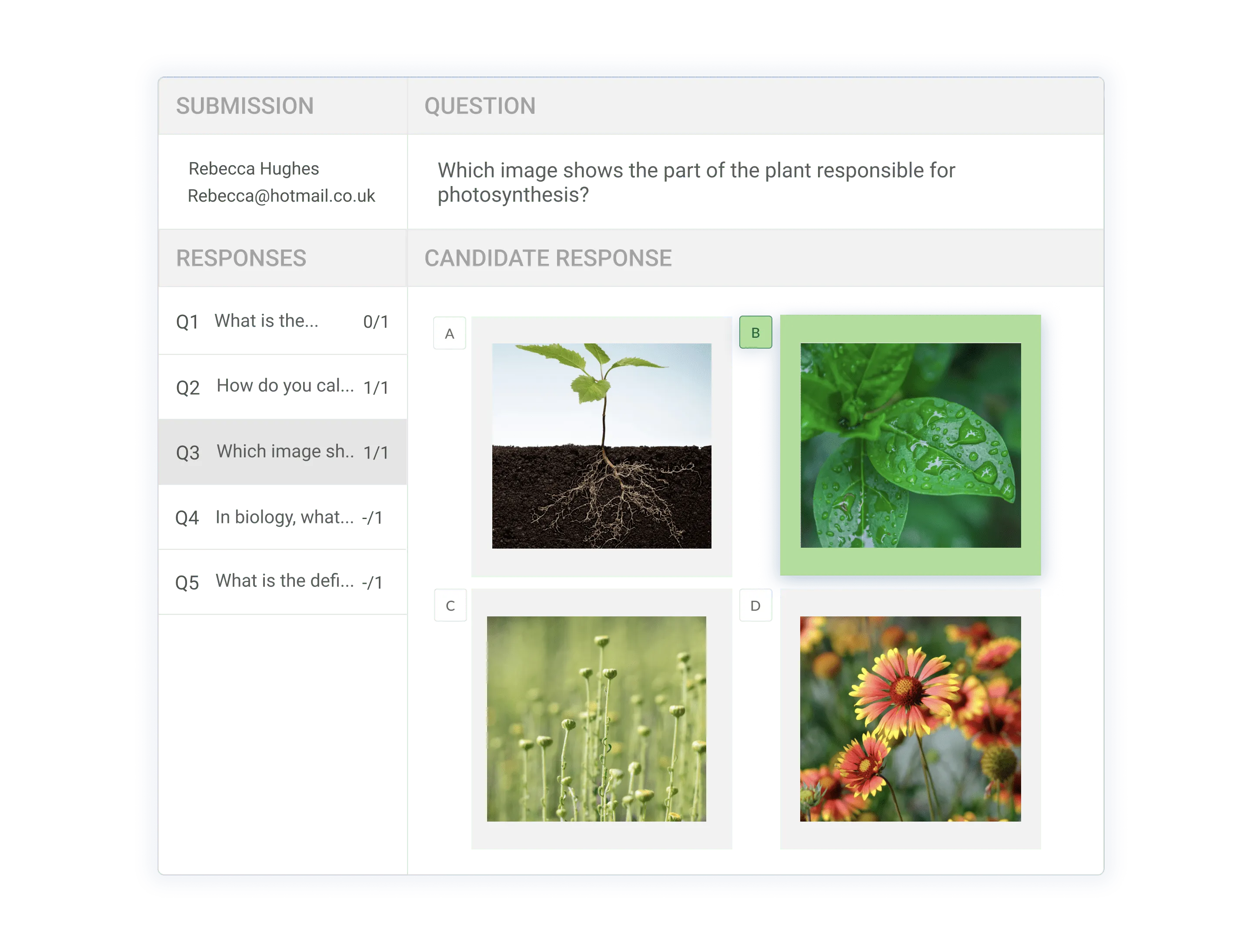 Automatic marking of a multiple-choice question in Synap.