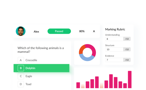 Exam Platform Overview UI